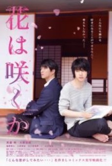 Does the Flower Bloom รอวันดอกไม้ผลิบาน (2018) - ดูหนังออนไลน