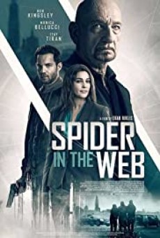 Spider in the Web (2019) สไปเดอร์ อิน เดอะเว็บ - ดูหนังออนไลน