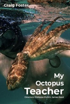 My Octopus Teacher | Netflix (2020) บทเรียนจากปลาหมึก - ดูหนังออนไลน
