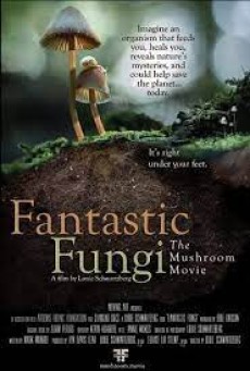 Fantastic Fungi (2019) เห็ดมหัศจรรย์ - ดูหนังออนไลน