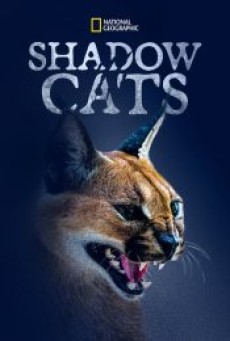 SHADOW CATS (2022) - ดูหนังออนไลน