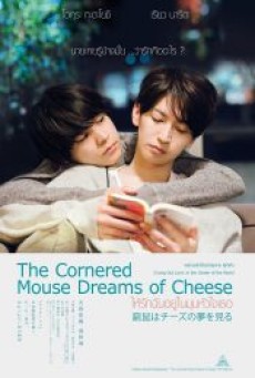 THE CORNERED MOUSE DREAMS OF CHEESE (2020) ให้รักฉันอยู่ในมุมหัวใจเธอ - ดูหนังออนไลน