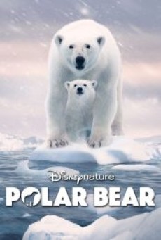 POLAR BEAR (2022) - ดูหนังออนไลน