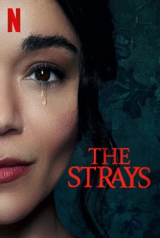 THE STRAYS (2023) คนหลงทาง พากย์ไทย - ดูหนังออนไลน