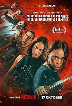 The Shadow Strays นักฆ่าเงาล่าทรชน (2024) - ดูหนังออนไลน