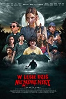 Nobody Sleeps in the Woods Tonight (Netflix) (2020) คืนผวาป่าไร้เงา - ดูหนังออนไลน
