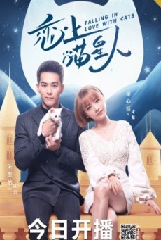 Falling in Love With Cat (2020) ตกหลุมรักสาวแมวเหมียว - ดูหนังออนไลน์