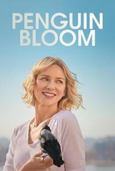 Penguin Bloom | Netflix (2020) เพนกวิน บลูม - ดูหนังออนไลน