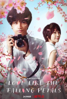 Love Like the Falling Petals | Netflix (2022) ใบไม้ผลิที่ไม่มีเธอเป็นซากุระ - ดูหนังออนไลน