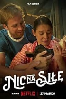 No Pressure (2024) รักไม่กดดัน - ดูหนังออนไลน