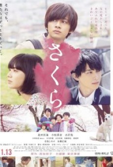 Sakura(2020) - ดูหนังออนไลน