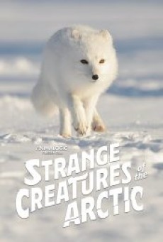 STRANGE CREATURES OF THE ARCTIC (2022) - ดูหนังออนไลน