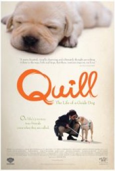 Quill The Life of a Guide Dog (2004) โฮ่งฮับ เจ้าตัวเนี้ยซี้ร้อยเปอร์เซ็นต์ - ดูหนังออนไลน