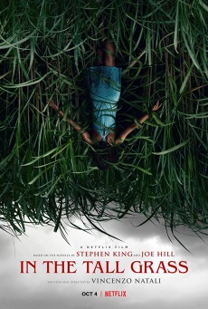 In the Tall Grass (2019) - ดูหนังออนไลน