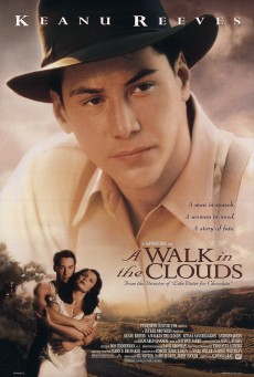 A WALK IN THE CLOUDS (1995) จะขอบูชาหัวใจเธอไว้ที่วิมานเมฆ พากย์ไทย - ดูหนังออนไลน