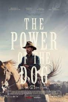 The Power of the Dog (2021) - ดูหนังออนไลน