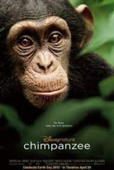 Chimpanzee (2012) ชิมแปนซี ผจญภัยในป่ากว้าง - ดูหนังออนไลน์