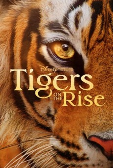 Tigers on the Rise (2024) - ดูหนังออนไลน์