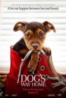 A Dog’s Way Home (2019) - ดูหนังออนไลน์