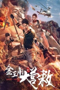 WARS IN CHINATOWN (2020) สงครามนองเลือดไชน่าทาวน์ - ดูหนังออนไลน