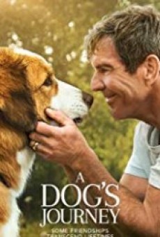 A Dog’s Journey (2019) หมา เป้าหมาย และเด็กชายของผม 2 - ดูหนังออนไลน์