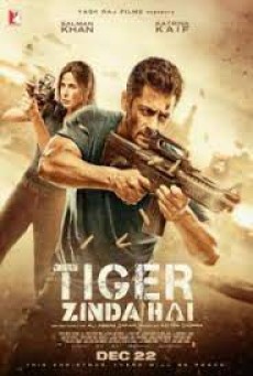 Tiger Zinda Hai (2017) ไทเกอร์ยังอยู่ - ดูหนังออนไลน์