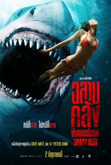 SHARK BAIT (2022) ฉลามคลั่ง ซัมเมอร์นรก - ดูหนังออนไลน