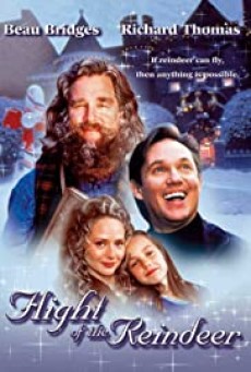 Flight of the Reindeer (The Christmas Secret) (2000) ผจญภัยเมืองมหัศจรรย์ - ดูหนังออนไลน์