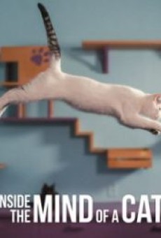 INSIDE THE MIND OF A CAT (2022) คิดแบบแมวๆ - ดูหนังออนไลน