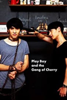 PlayBoy (and the Gang of Cherry) (2017) 20+ - ดูหนังออนไลน